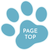 ボタン:PAGE TOP